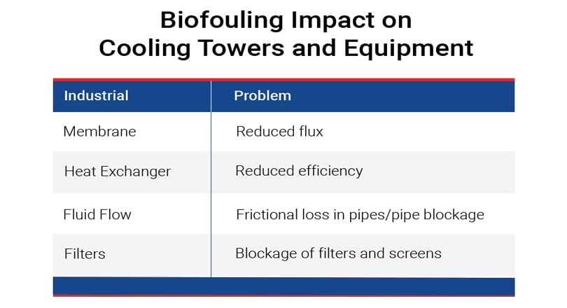 bifouling-impact