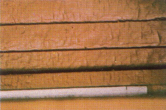 CD05