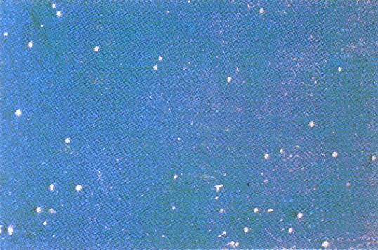 CD15